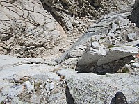 img_0520.jpg