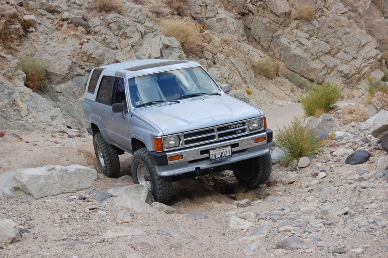 dsc_0175.jpg