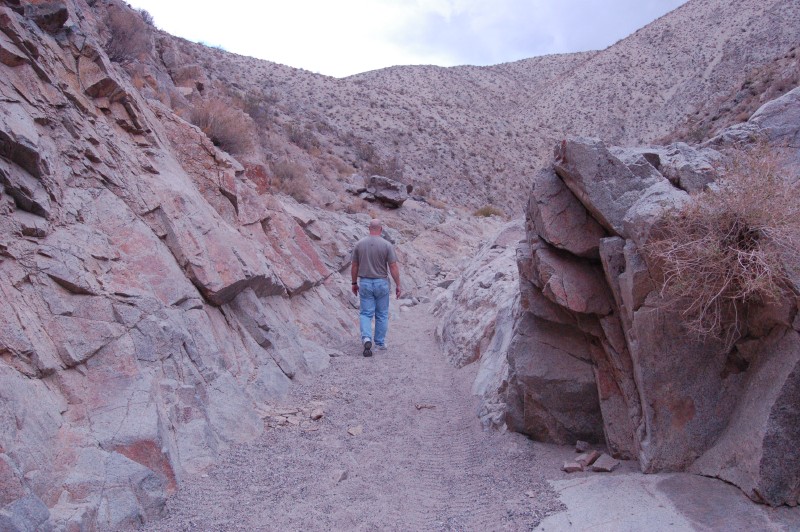 dsc_0195.jpg