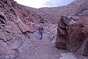 dsc_0195.jpg