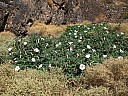 img_0050.jpg