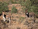 img_0109.jpg