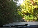 img_0119.jpg
