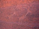 img_0736.jpg